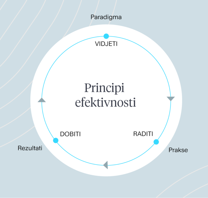 Principi Efektivnosti